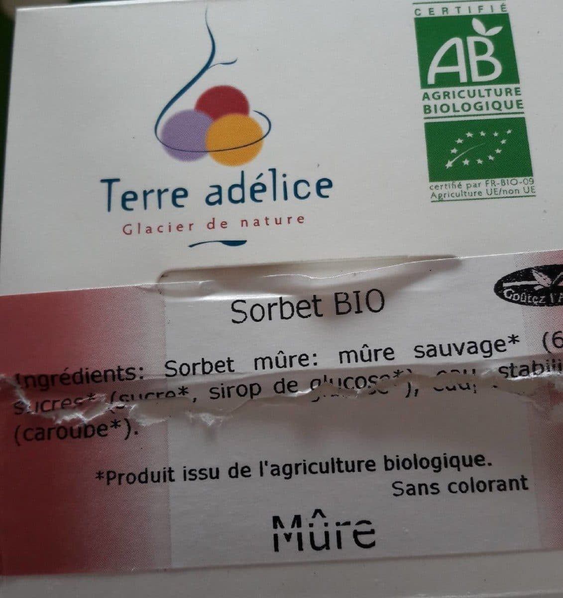 Terre Adélice Sorbet mûre packshot