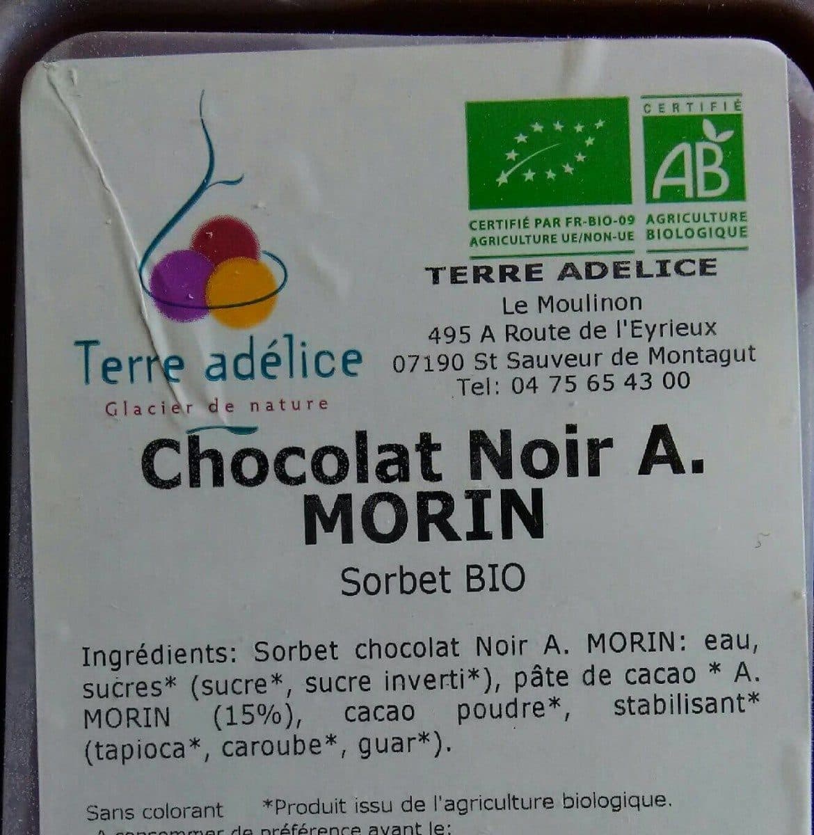 Terre Adélice Sorbet chocolat noir A. Morin packshot