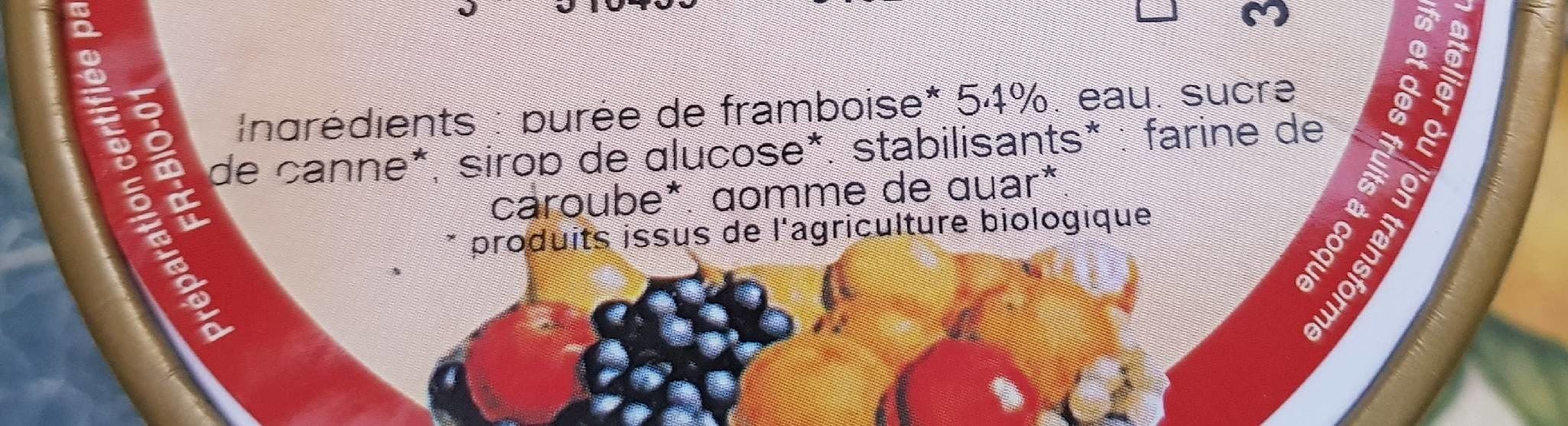 Aquibio Sorbet Plein fruit framboise packshot