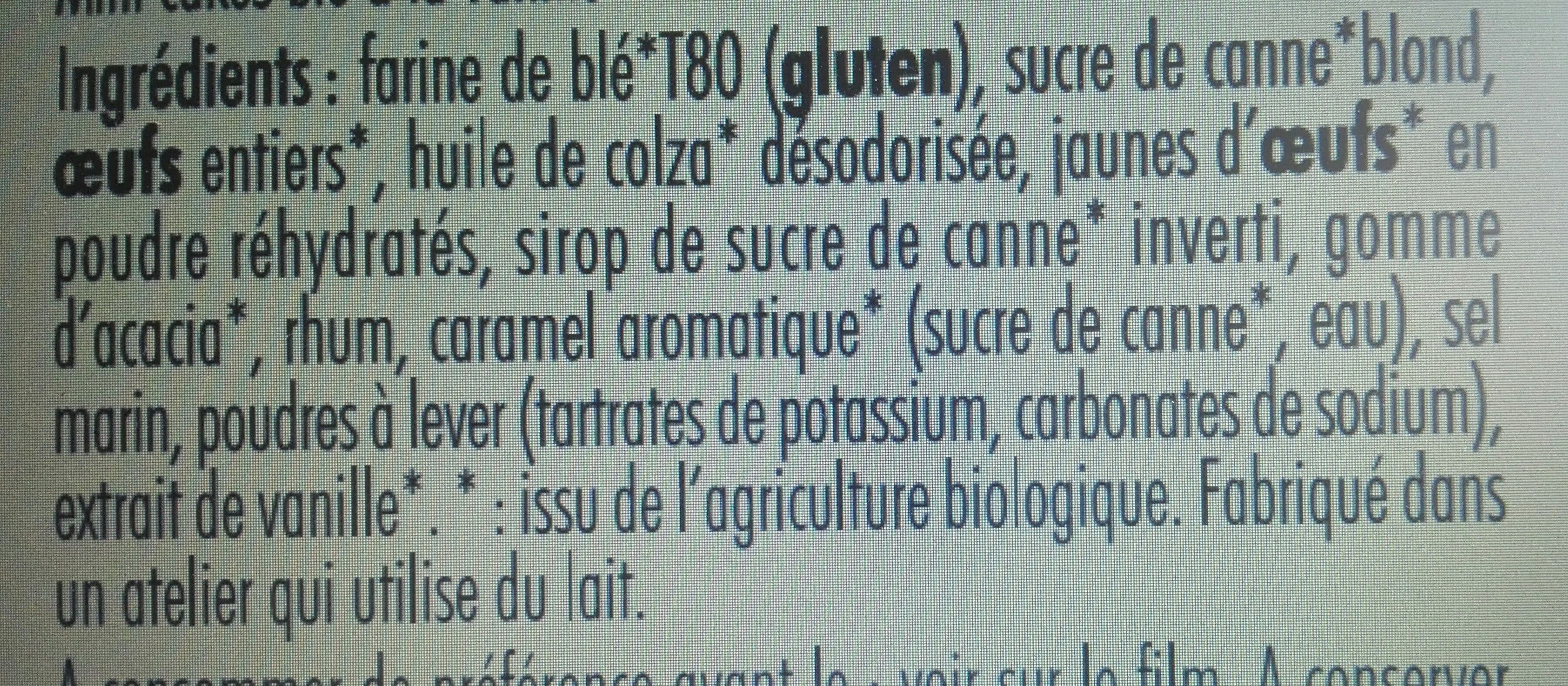 France cake bio mini cakes vanille packshot