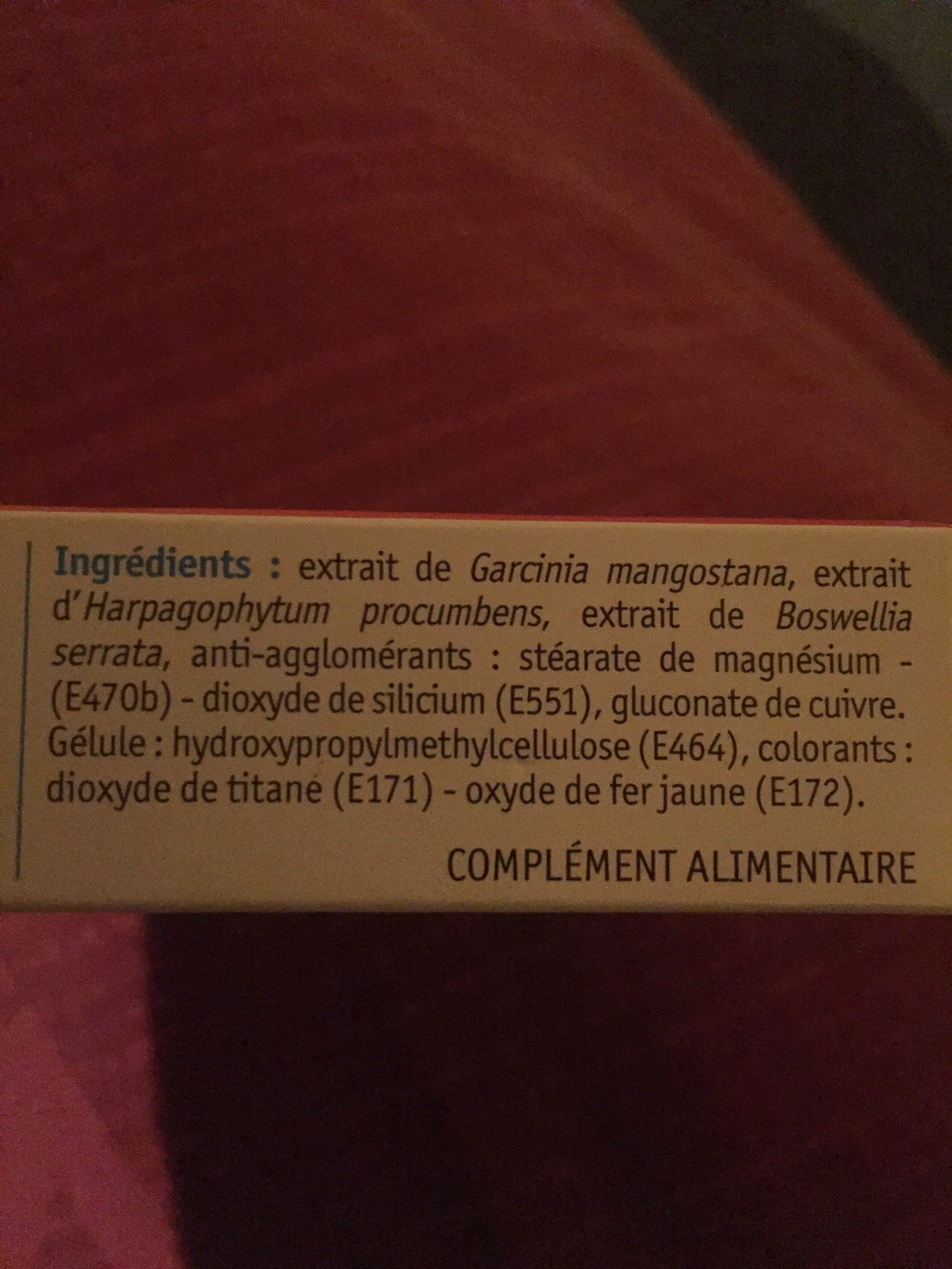 Laboratoire Des Granions Ea Pharma Chondrostéo+ Flash packshot