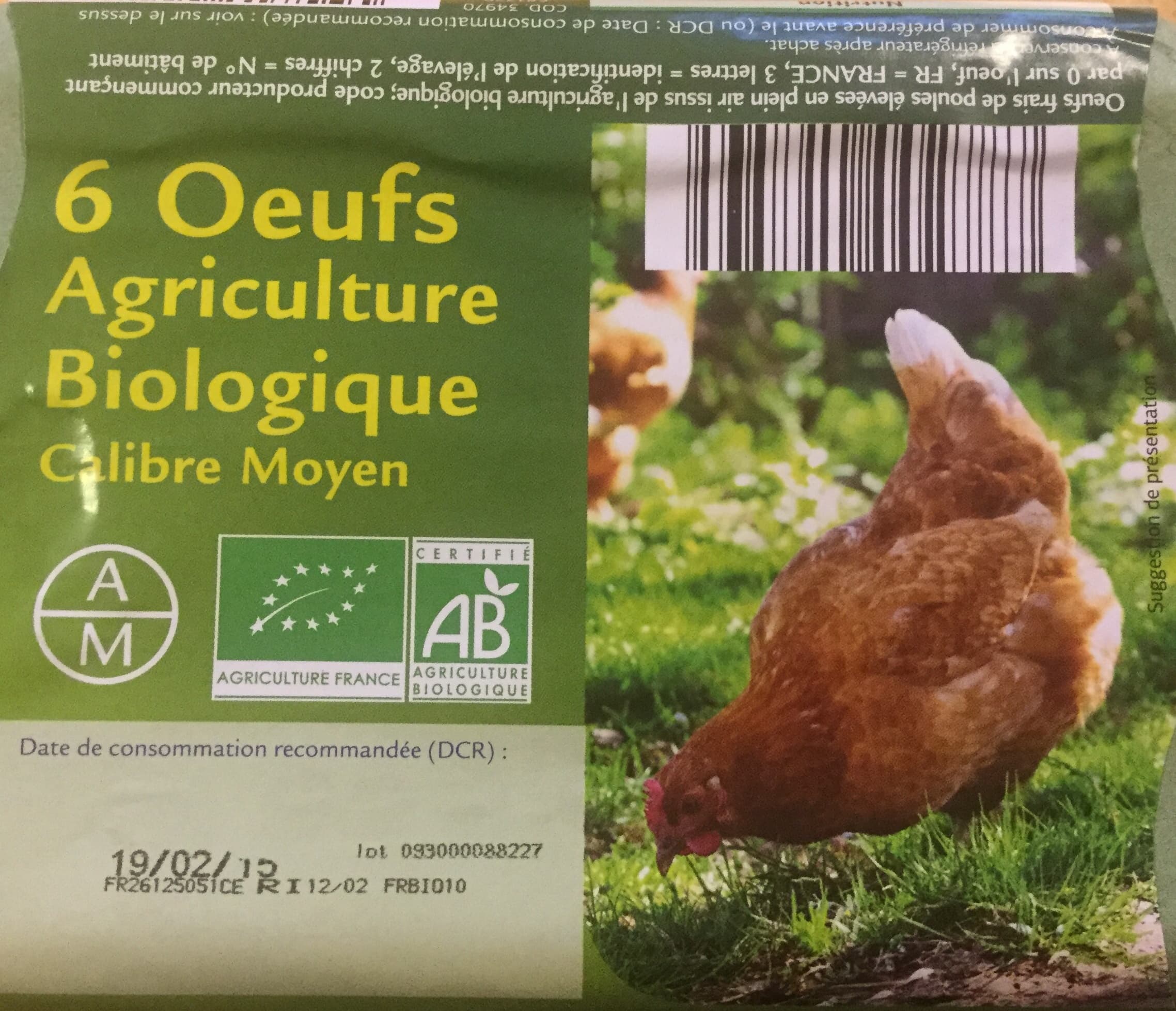 Sans marque 6 œufs agriculture biologique packshot