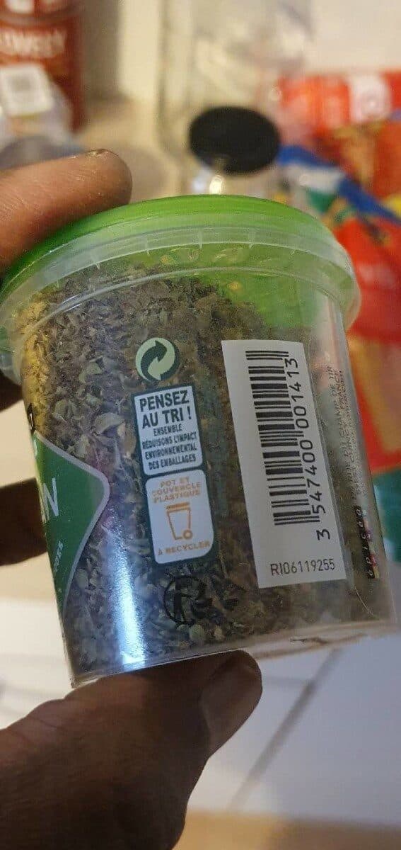 épicéa Origan Feuille packshot