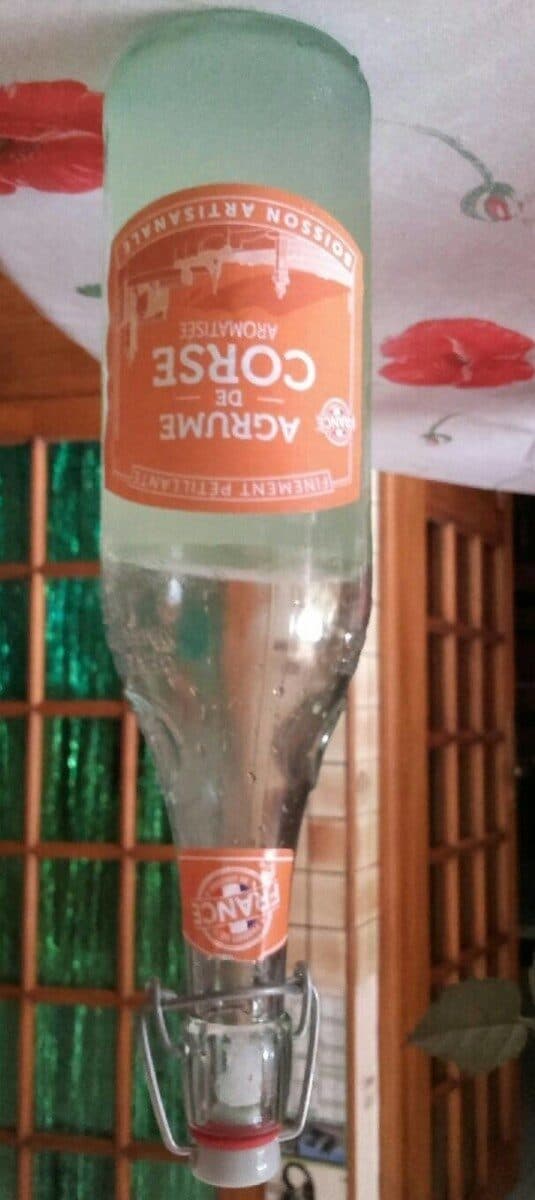 Geyer frères Agrume de Corse aromatisee packshot