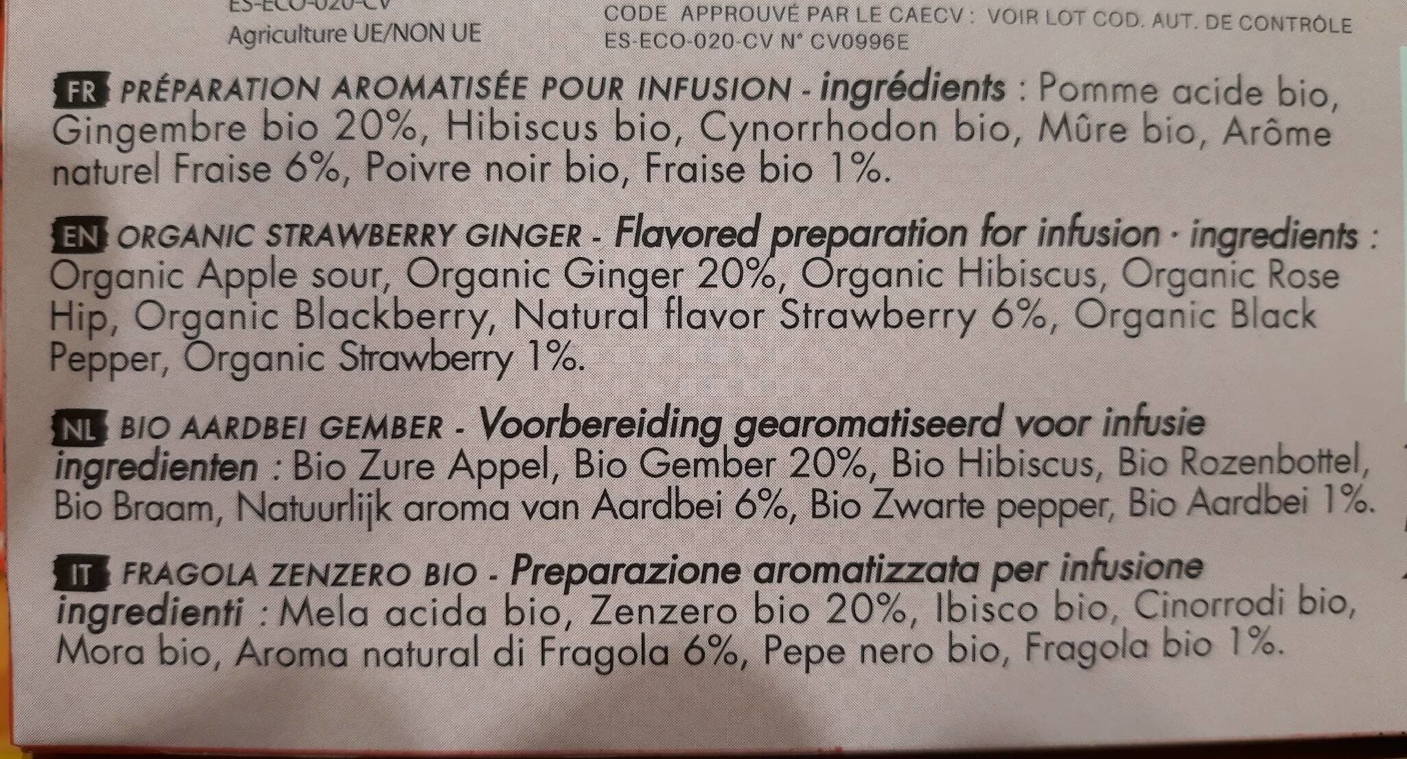 Romon Nature Fraise Gingembre Red packshot