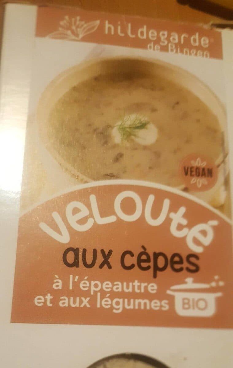 Hildegarde de Bingen Velouté aux cèpes à l'épeautre et aux légumes packshot
