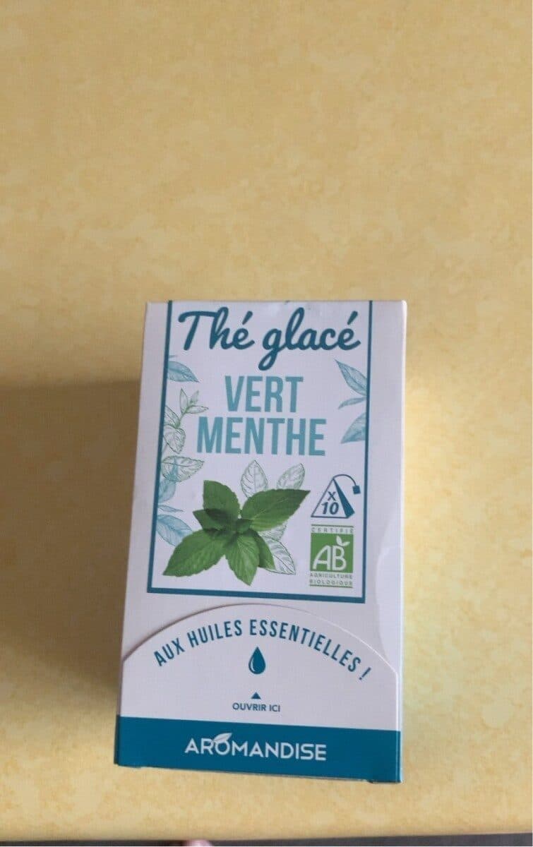 Thés & Tisanes Du Monde Thé Glacé Bio - Thé Vert à La Menthe 10 Sachets packshot