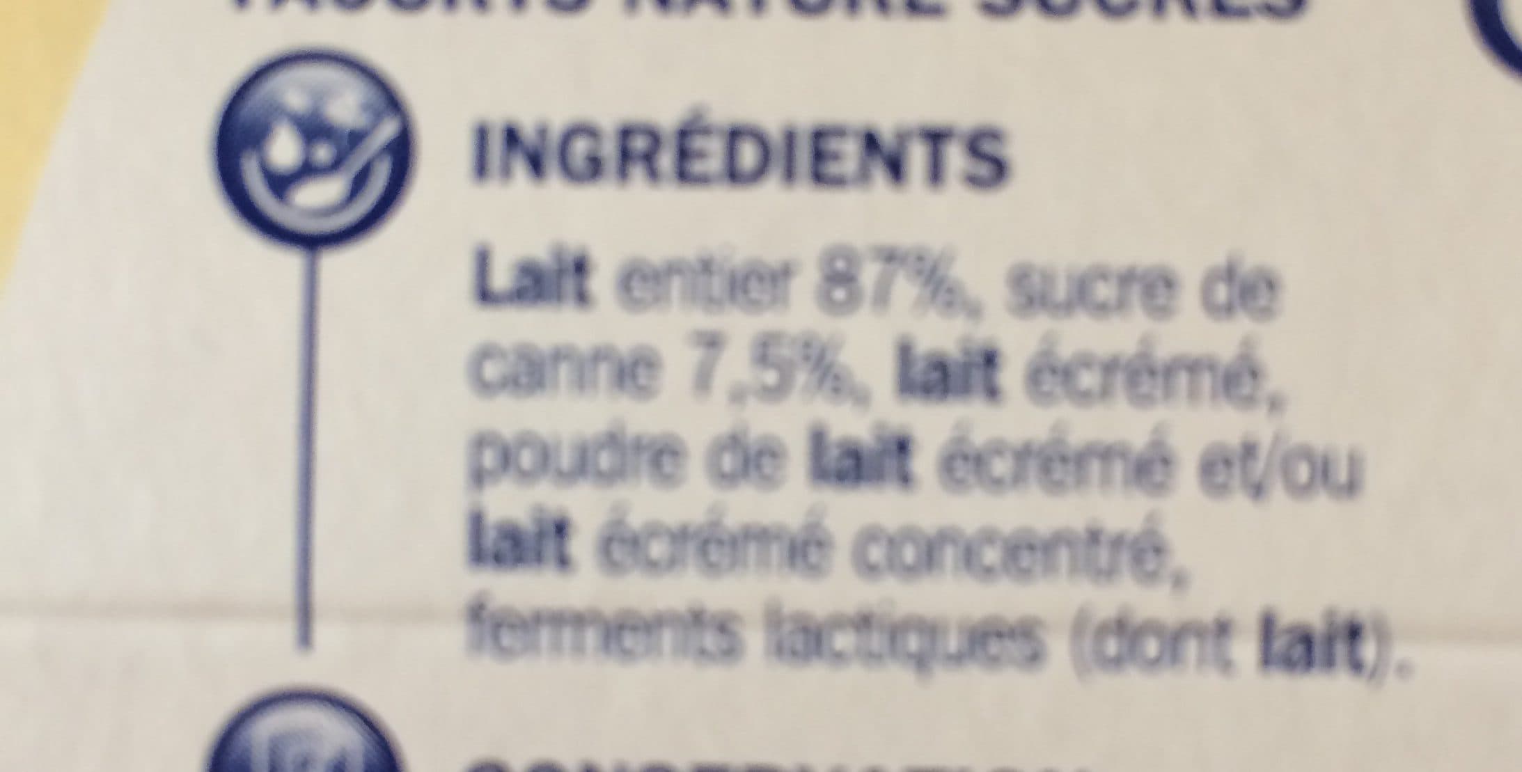 Délice Yaourt nature au sucre de canne packshot