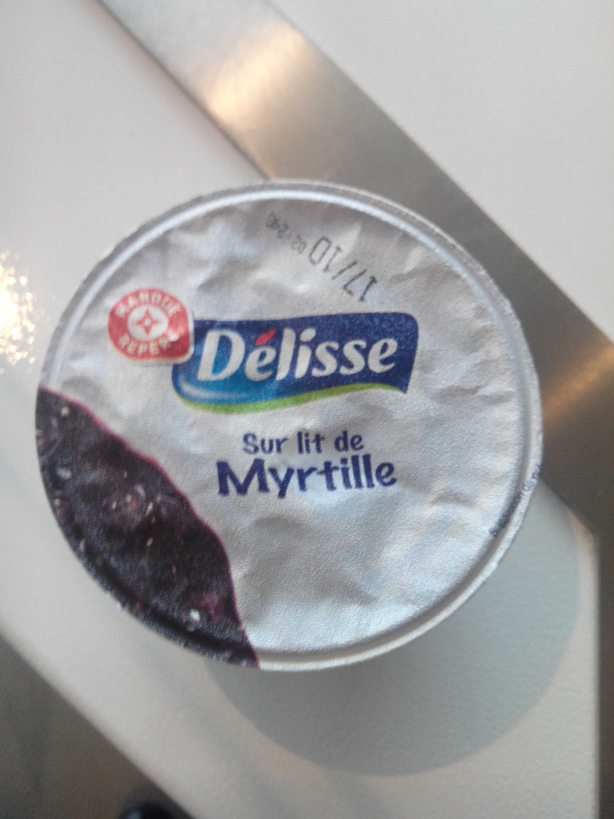 Délisse Encas riche en protéines sur lit de myrtille packshot
