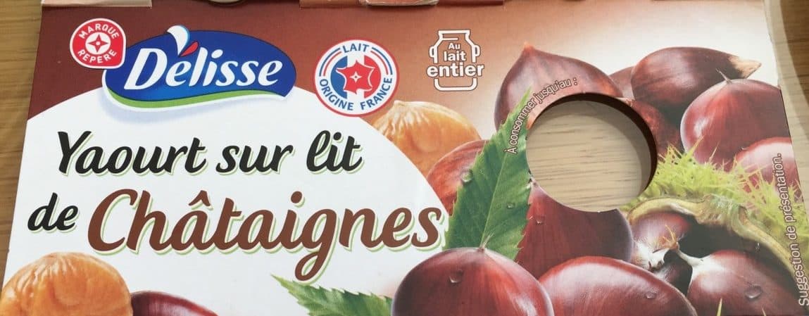 Délisse Yaourts gourmands au lait entier sur lit de châtaigne packshot
