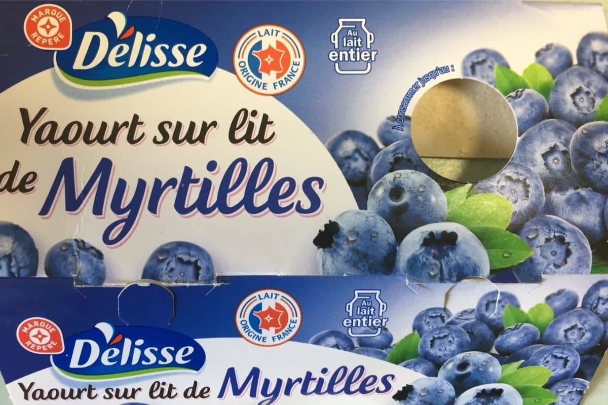 Délisse Yaourts gourmands au lait entier sur lit de myrtille packshot