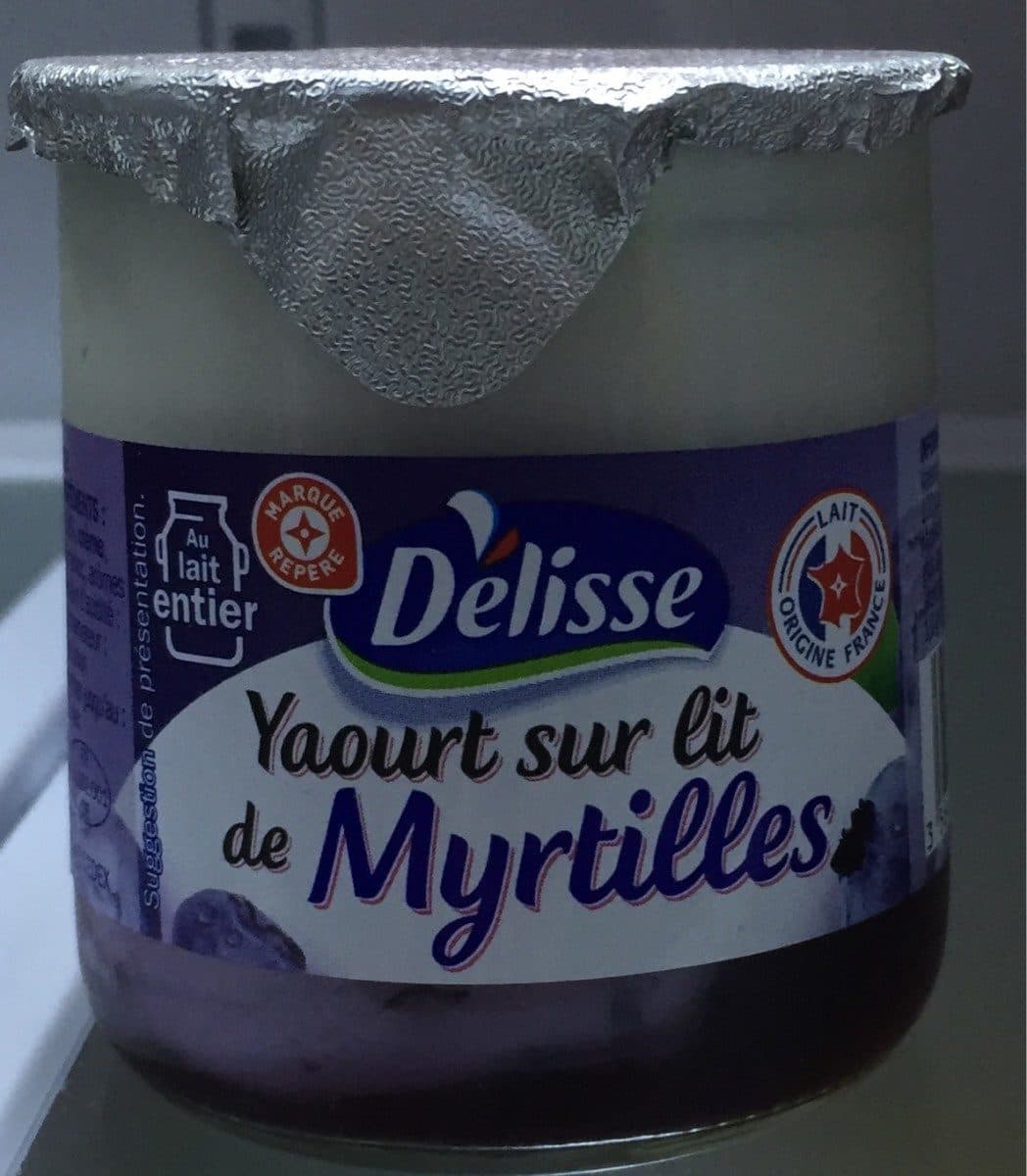 Délisse Yaourt gourmand au lait entier sur lit de myrtille packshot