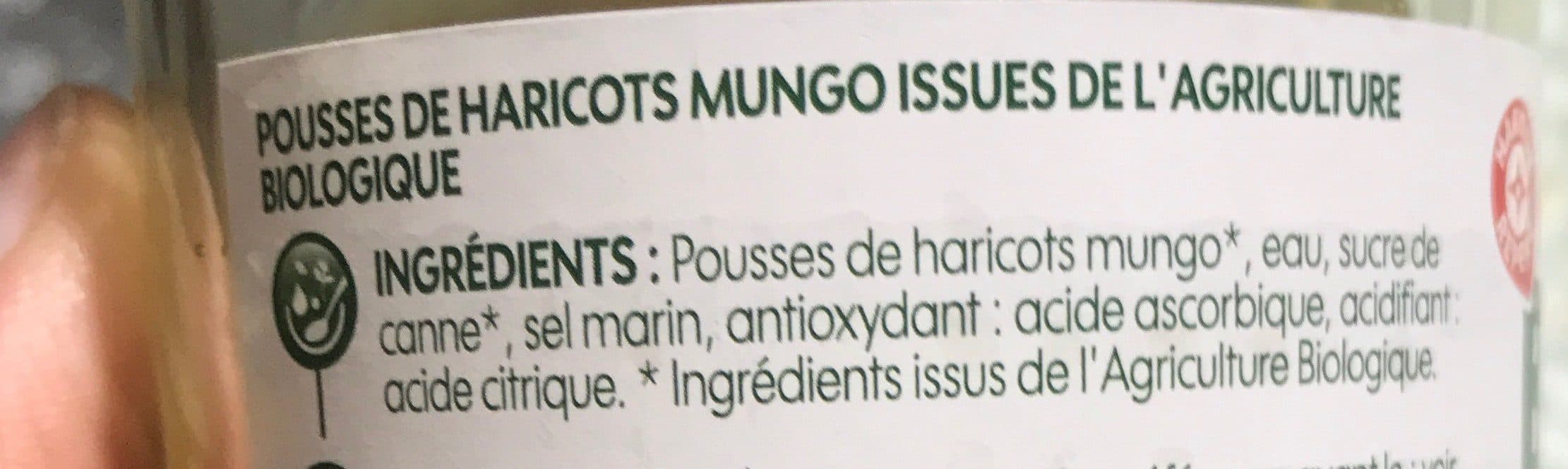 Bio Village Pousses de haricots mungo packshot
