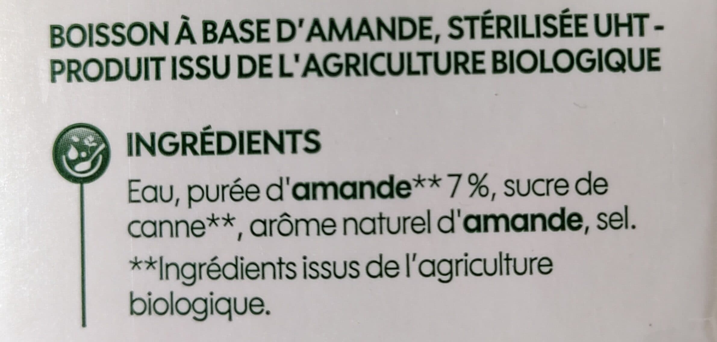 Bio Village Lait amande intense bio packshot