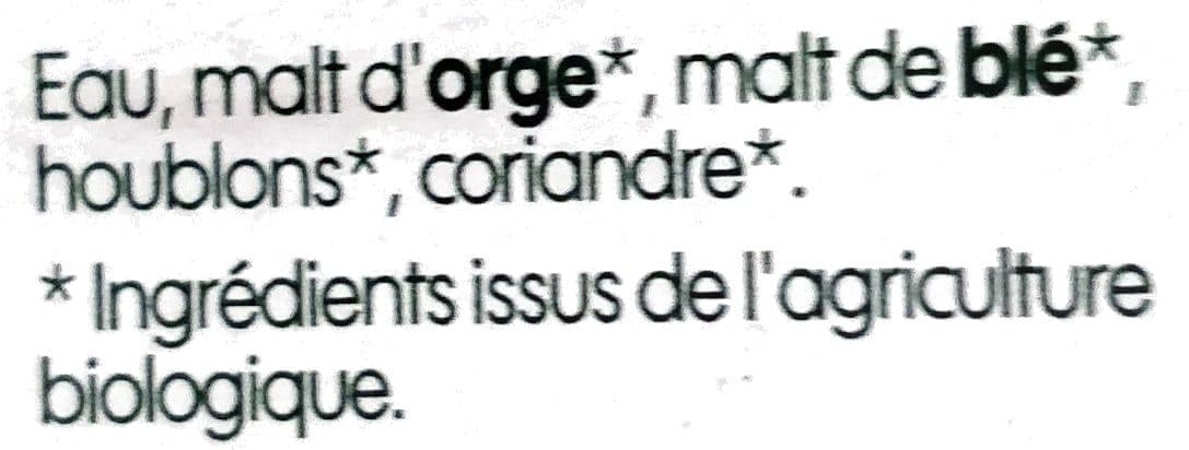 Bio Village Bière blonde pur malt bio sans gluten packshot