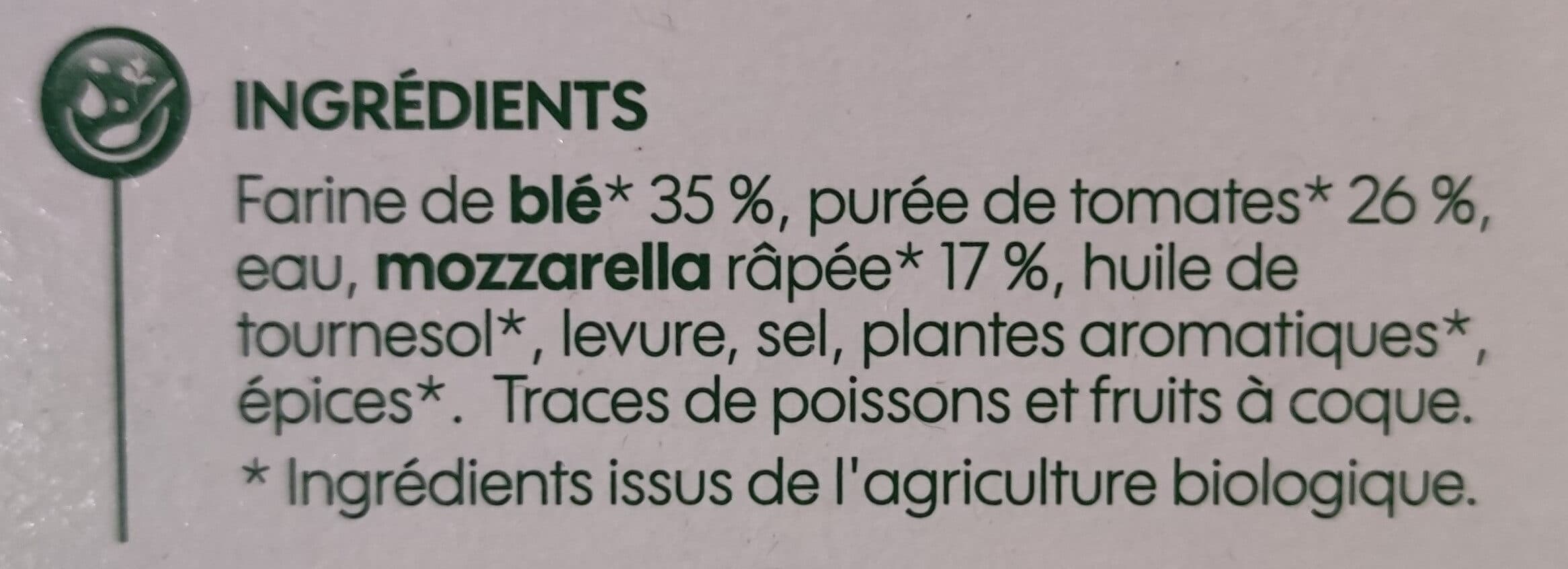 Bio Village Pizza margherita packshot