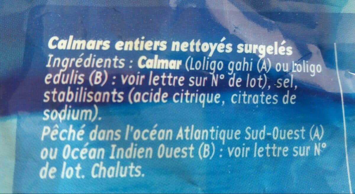 Pescanova Calmars Entiers Nettoyés packshot