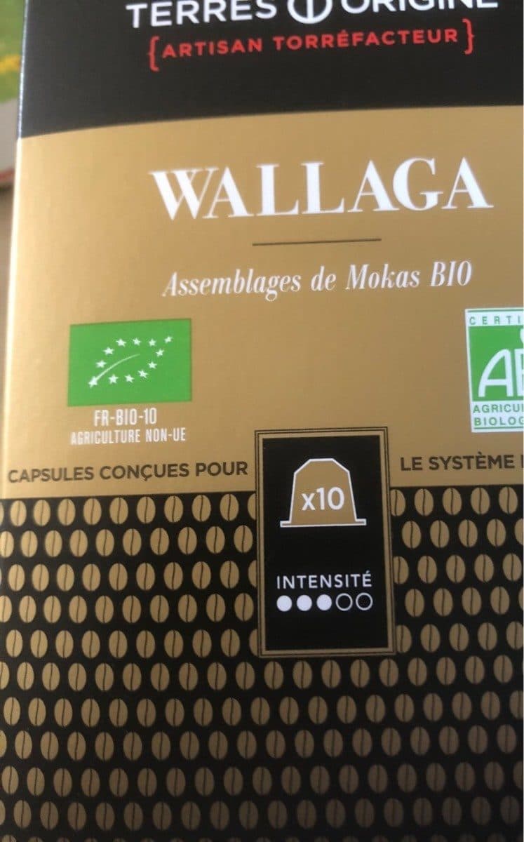 Terres d'origine Capsules cafe bio packshot