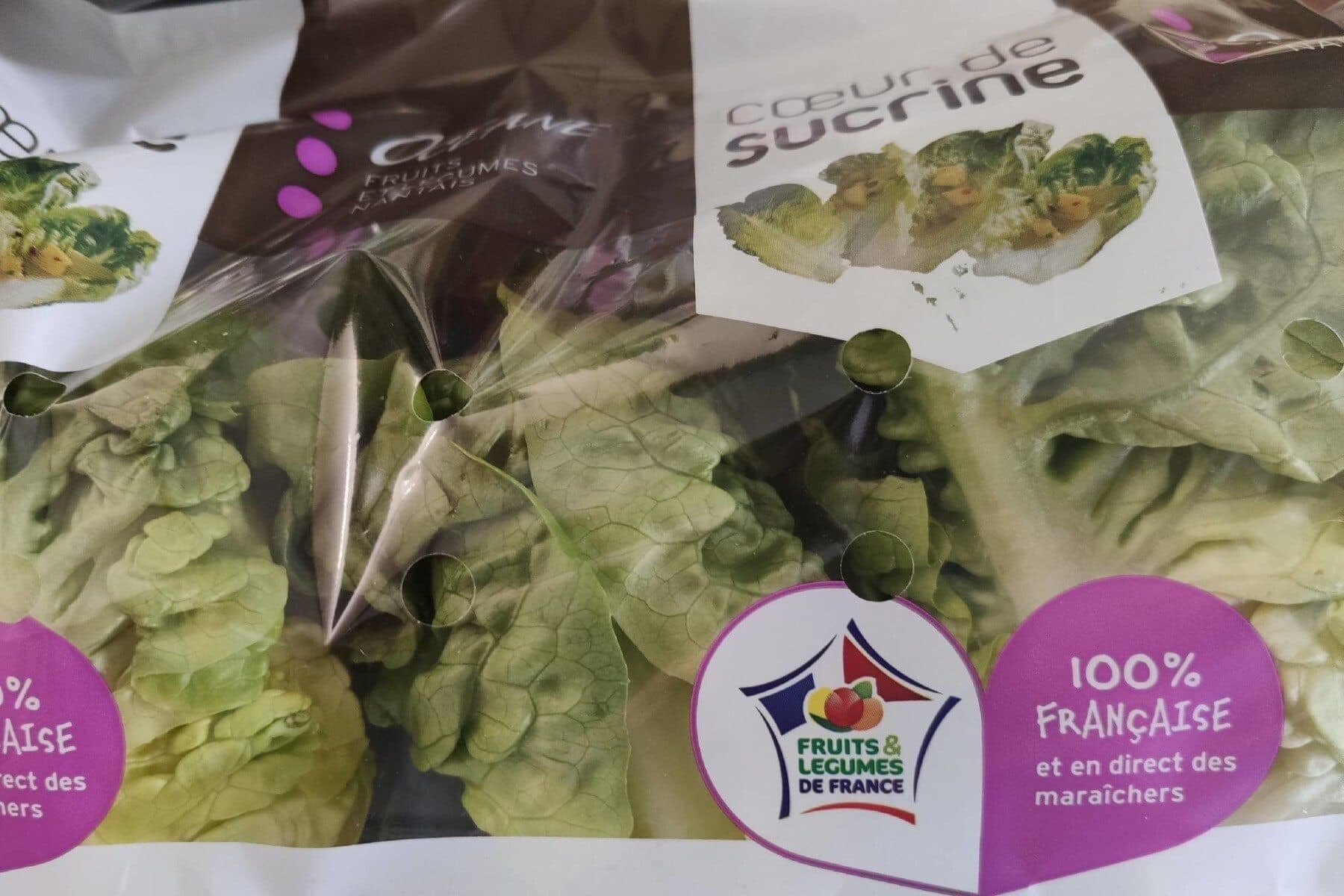Oceane Salade, Variété Sucrine, Catégorie 1 packshot