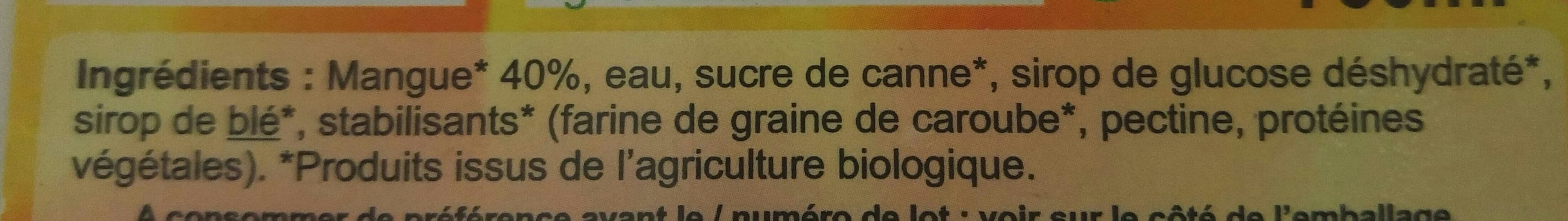 Altiflore Sorbet mangue bio packshot