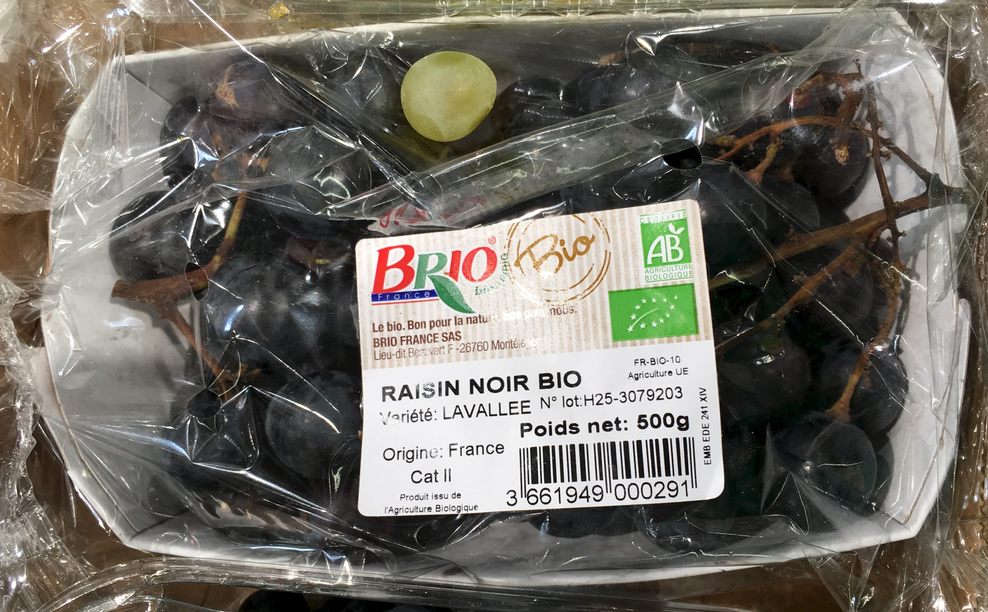 Brio Raisin noir bio packshot