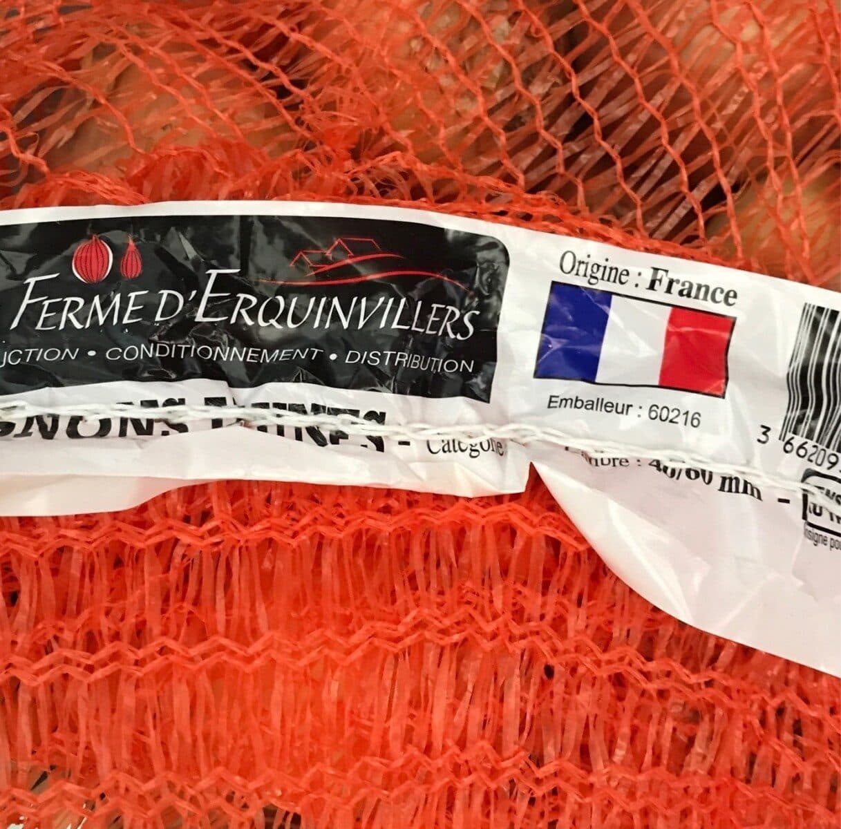 onion jaunes Oignons packshot
