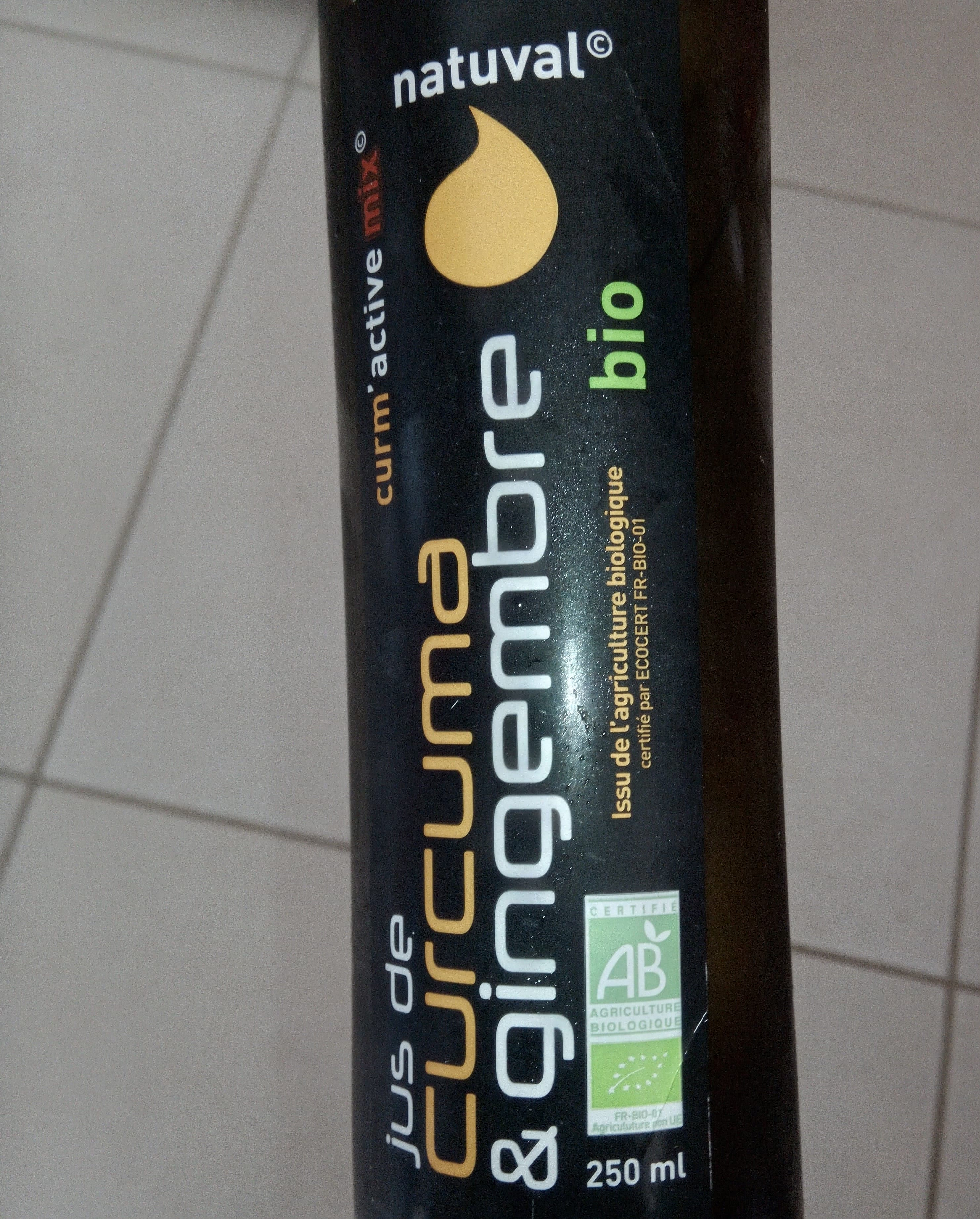 Natuval Jus De Curcuma Et Gingembre Bio - 250 ML - Natuval packshot