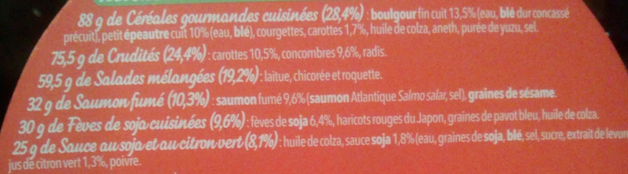 Mix Buddha Bol Saumon fumé packshot