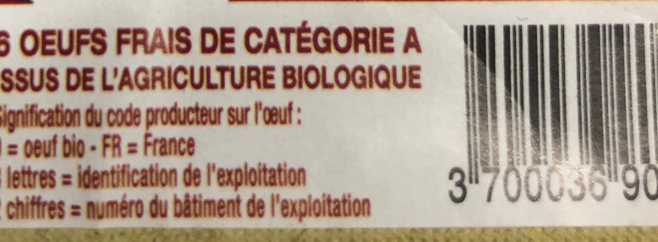 Biodunoise 6 oeufs extra-frais packshot