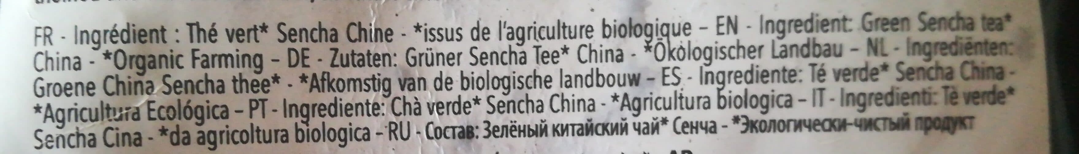 Destination Sencha packshot