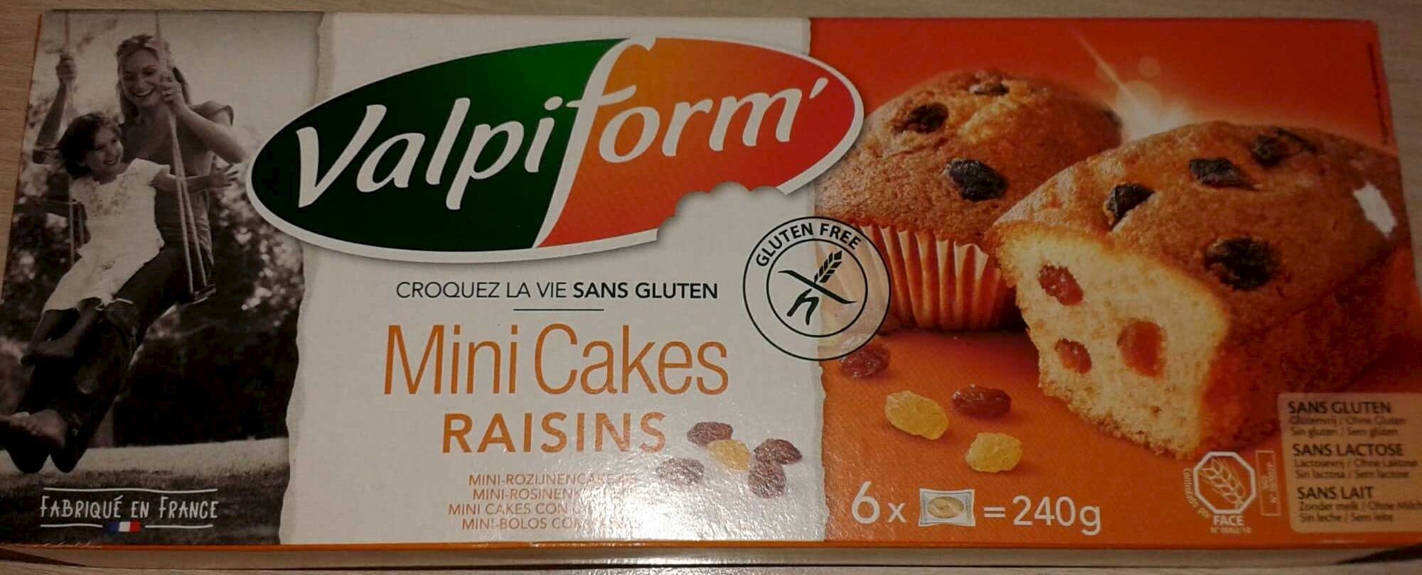 Valpiform Mini Cakes Raisins packshot