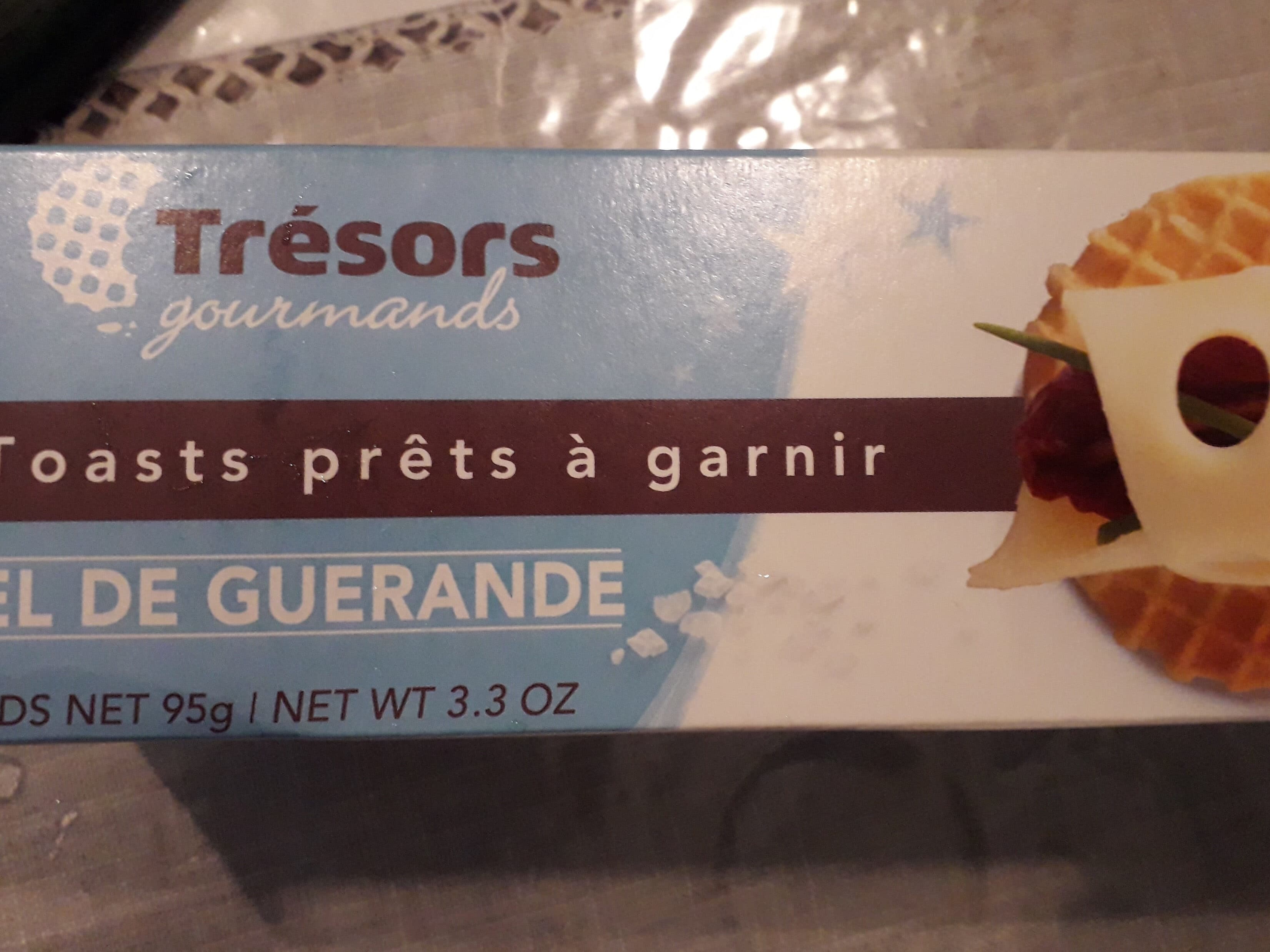 Trésors Gourmands Toasts prêt à garnir packshot