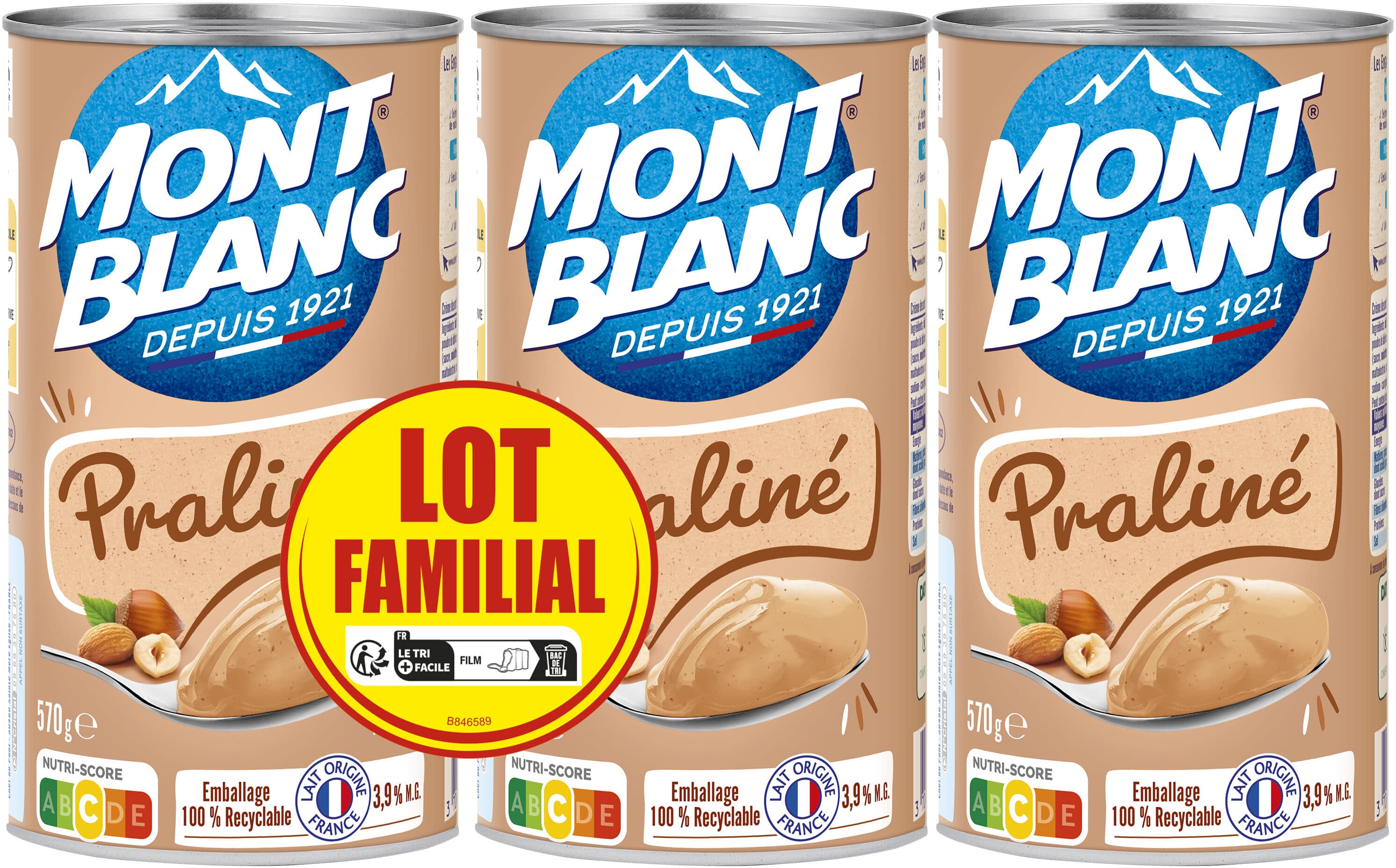 Crème Dessert MONT BLANC Crème dessert Boîte Praliné 3x570g Lot Familial packshot