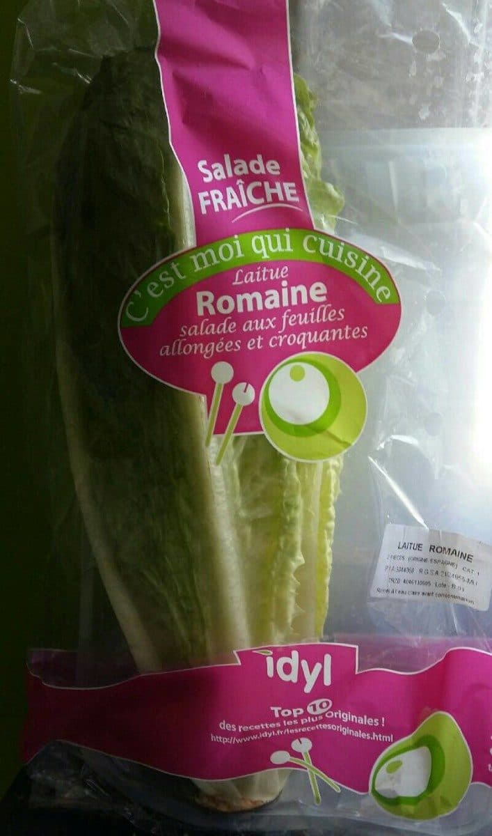 Idyl Laitue romaine packshot