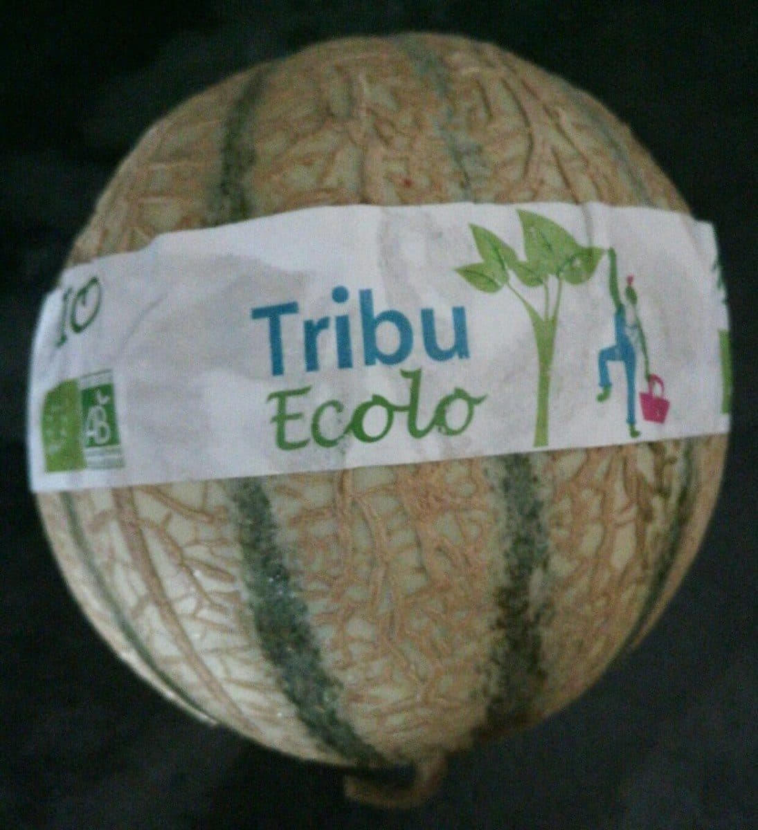 Tribu Ecolo Melon charentais jaune bio packshot