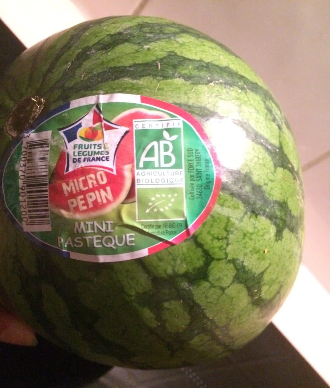 MICRO PEPIN Pastèque packshot