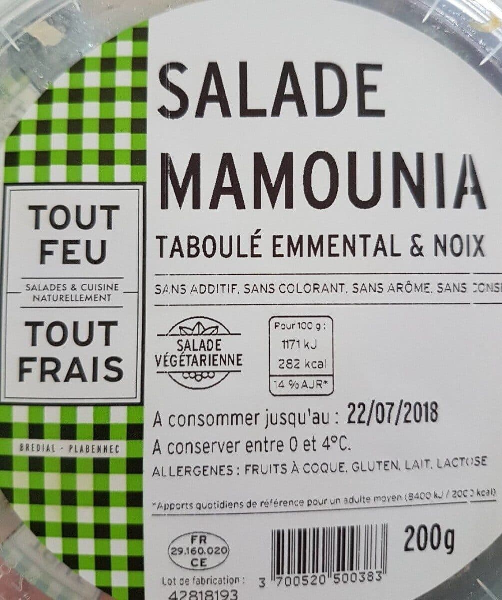 Brédial Salade mamounia packshot