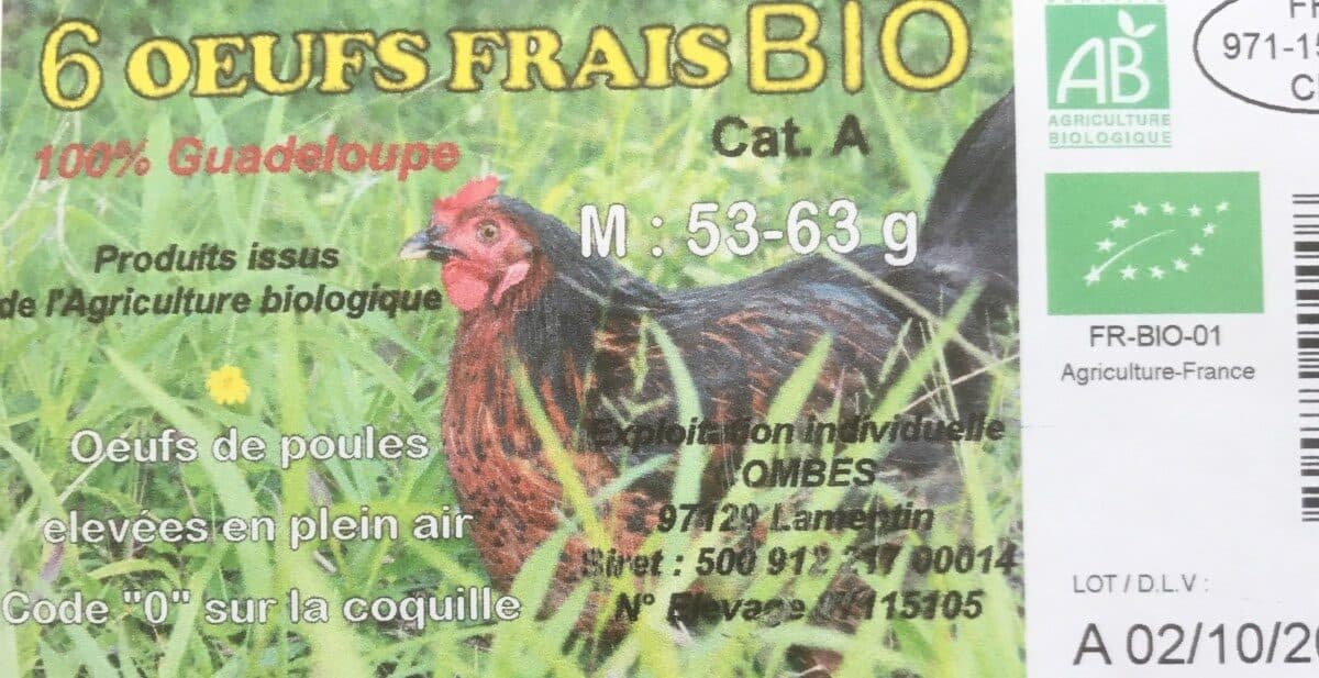 Open Food Facts Oeufs frais BIO packshot