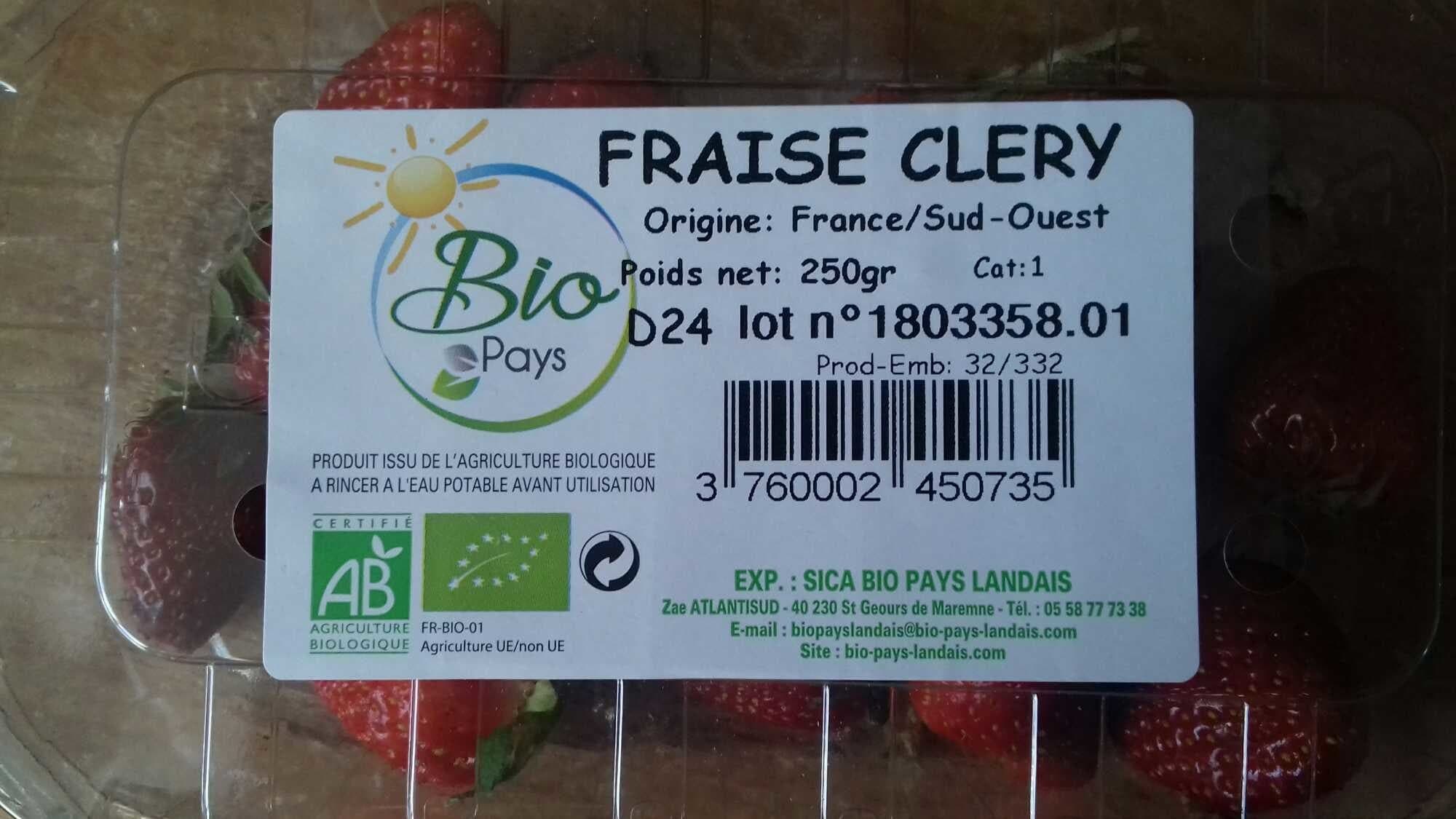 Bio Pays FRAISE FRANCE BARQUETTE packshot