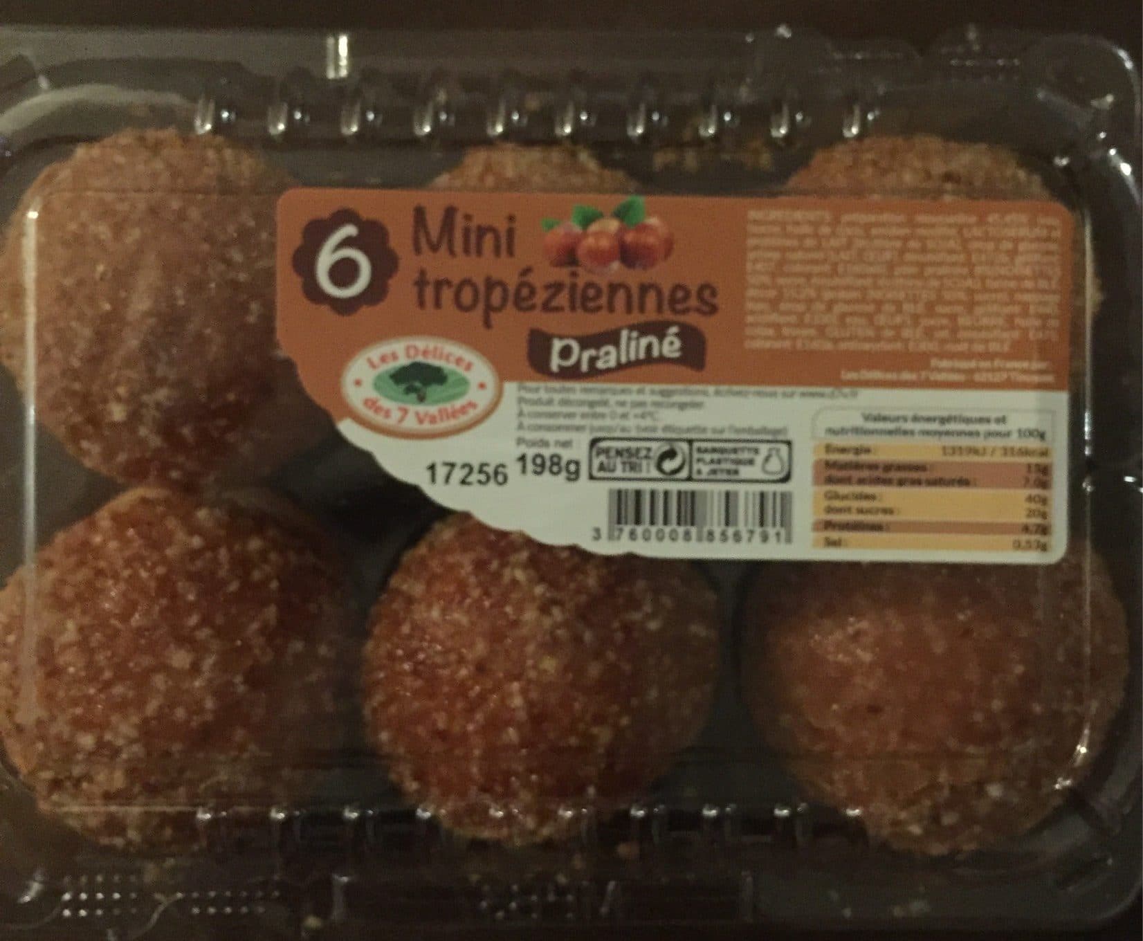 Les Délices Des 7 Vallées Mini tropézienne packshot