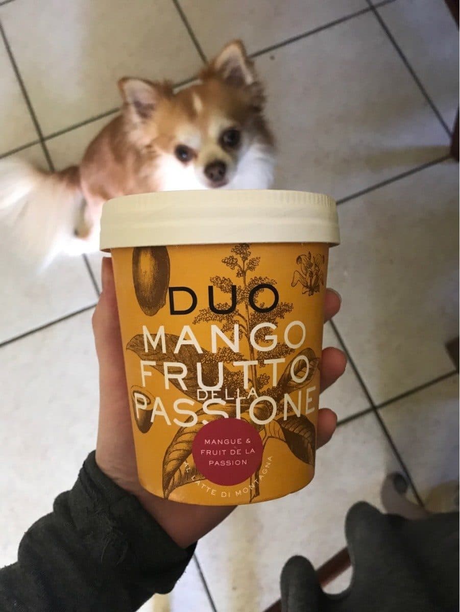 Open Food Facts Duo Mango Fruito Passtone packshot