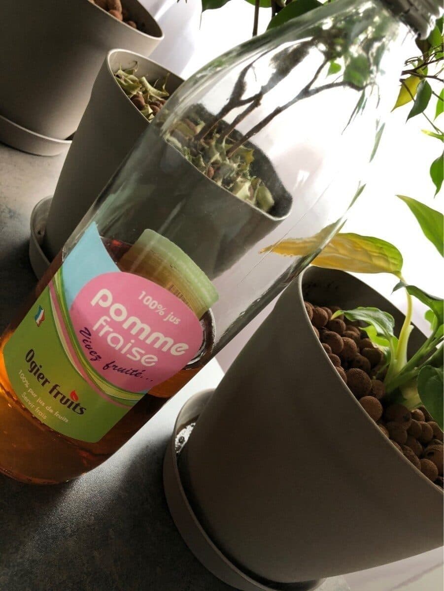 Open Food Facts Pomme Fraise packshot