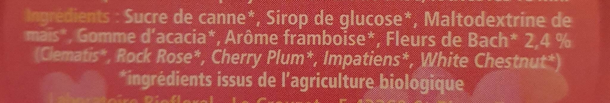 Biofloral Pastilles Concentration école Bio - 50G - Biofloral packshot