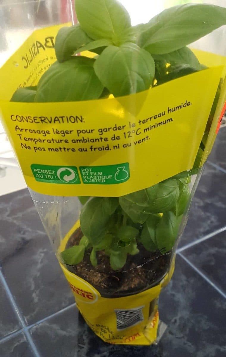 Open Food Facts Basilic de Provence packshot