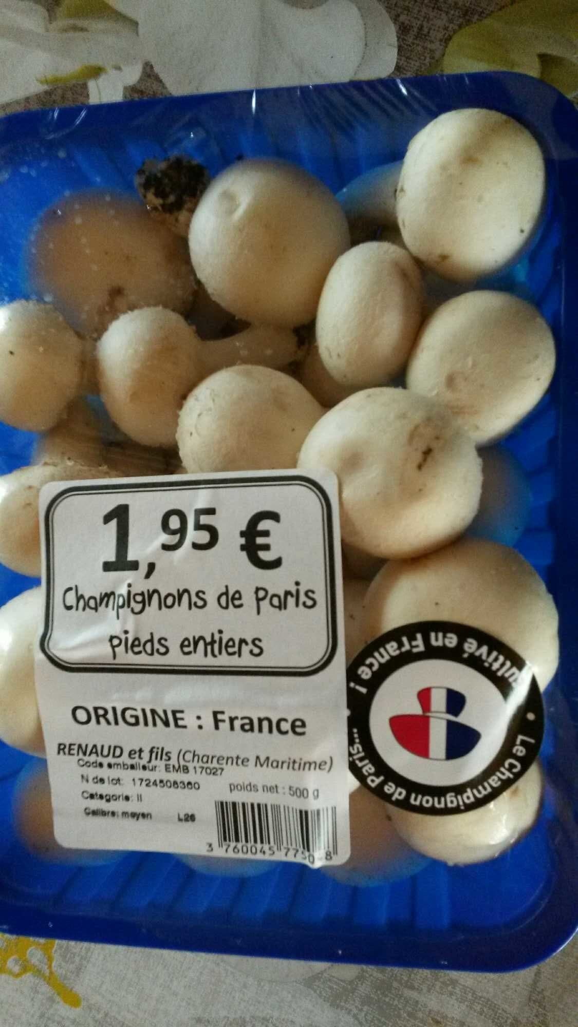 Renaud et fils (charente maritime) Champignons de paris pieds entiers (France) packshot