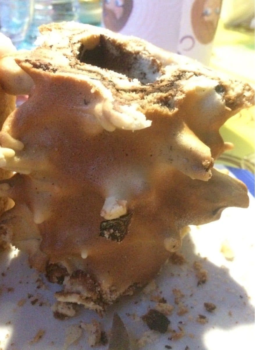 Open Food Facts Gâteau cuit à la broche packshot