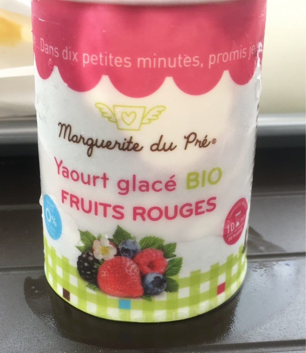 Marguerite du pré Yaourt glacé bio packshot
