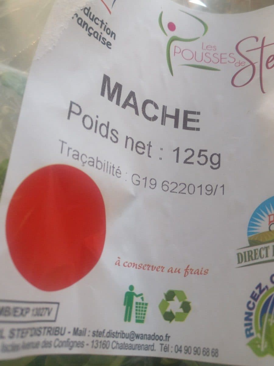 Les Pousses de Stef Mache packshot