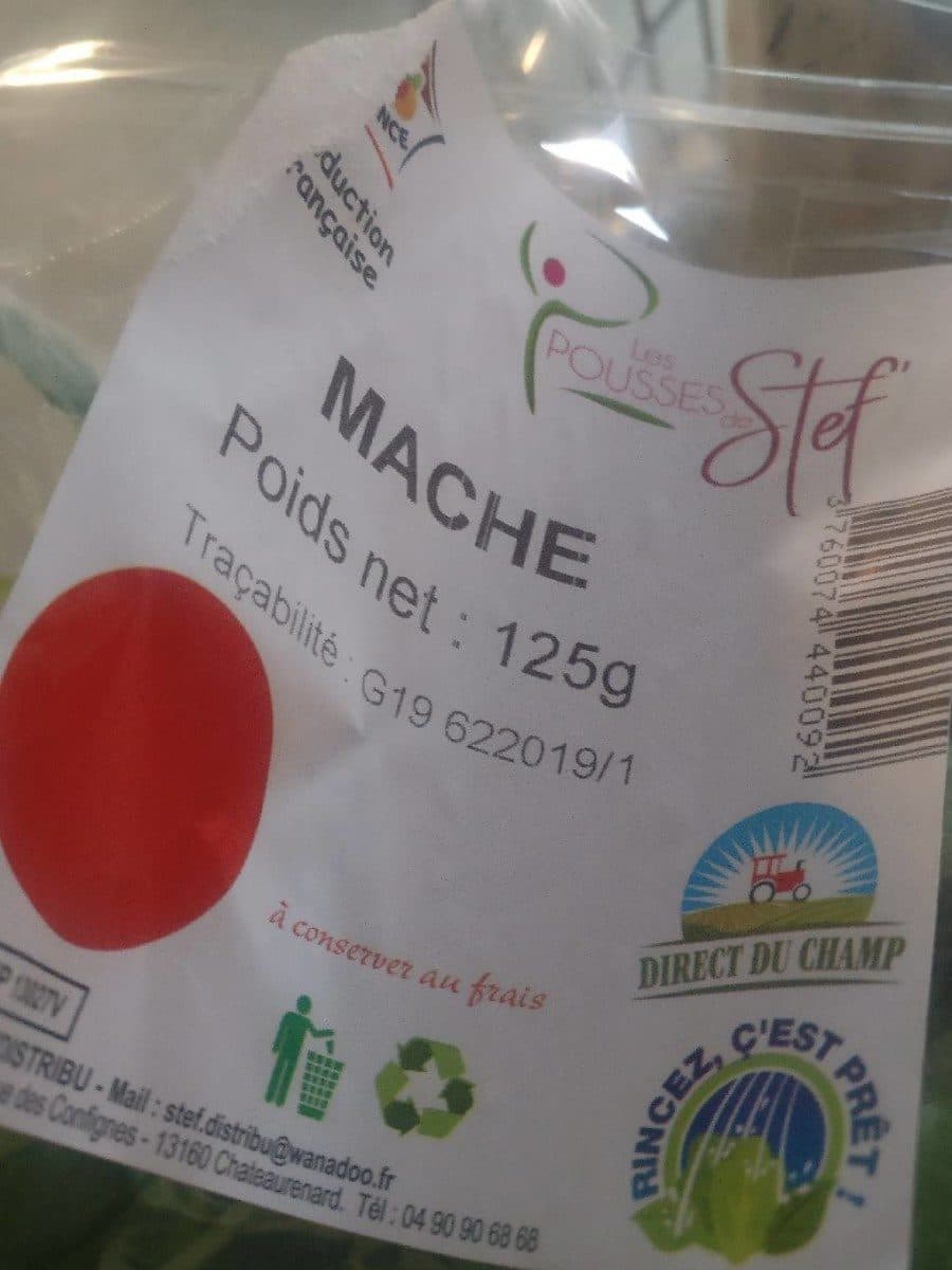 Les Pousses de Stef Mache packshot