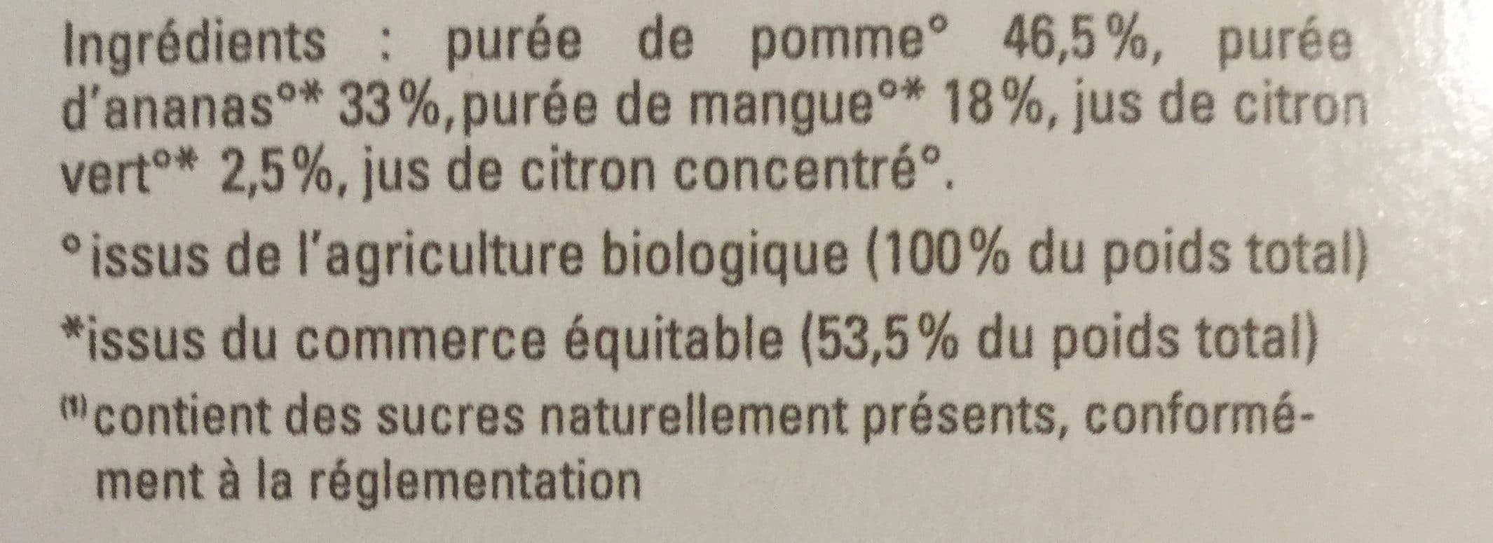Ethiquable Compote Ananas Citron Vert Mangue Pomme packshot